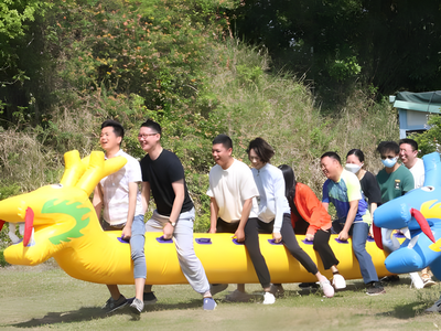 team trip 调整大小
